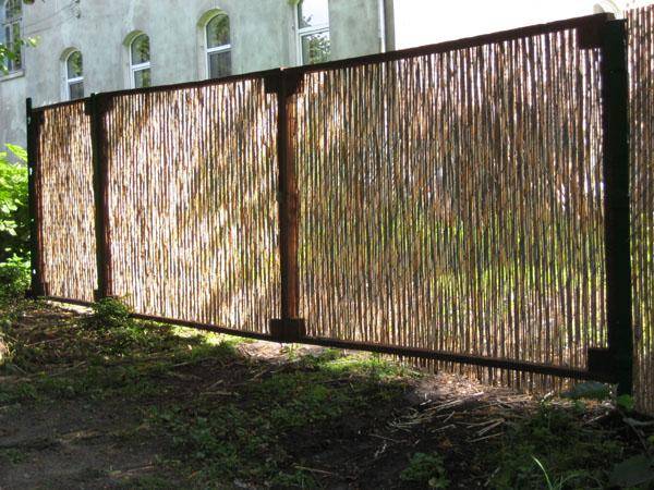 Как и чем закрыть забор из сетки рабицы от соседей | polemo.ru - дача, огород и сад.