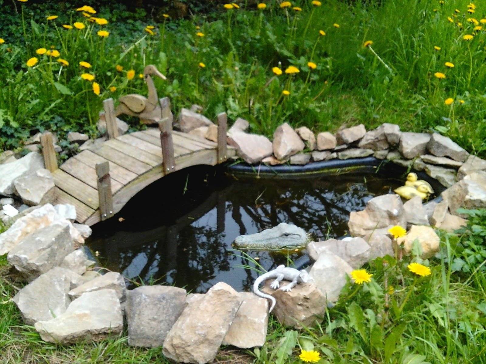 Как сделать пруд в саду своими руками: подробная инструкция