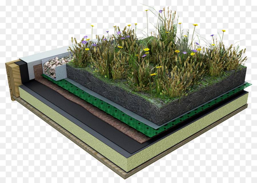 Зеленая крыша: технология устройства травяной кровли