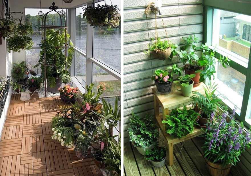 Зимний сад на балконе - идеи дизайна и полезные советы по обустройству