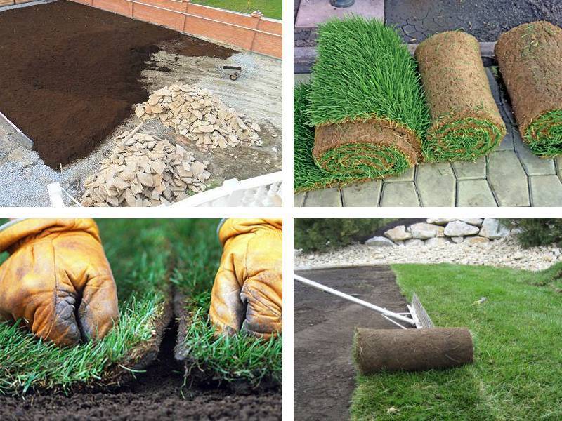 Правильный уход за газоном: подготовка почвы, посадка газонной травы, стрижка, полив и другое