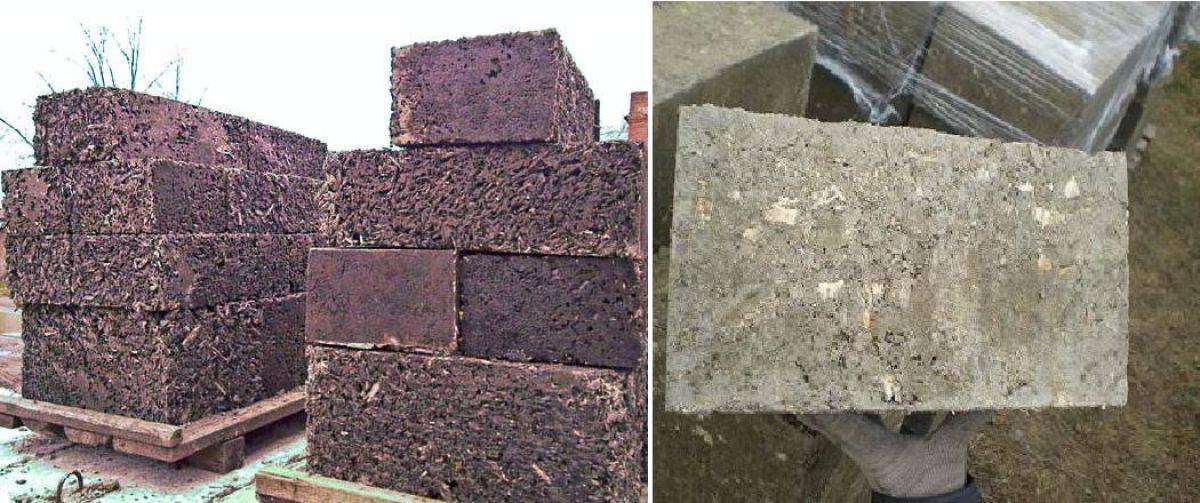 Блоки из опилок и цемента – практическое применение опилкобетона в строительстве дома, бани, сарая