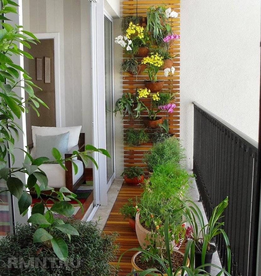 Зимний сад на балконе: на лоджии оранжерея, фото и идеи своими руками, в квартире растения, зимой как устроить