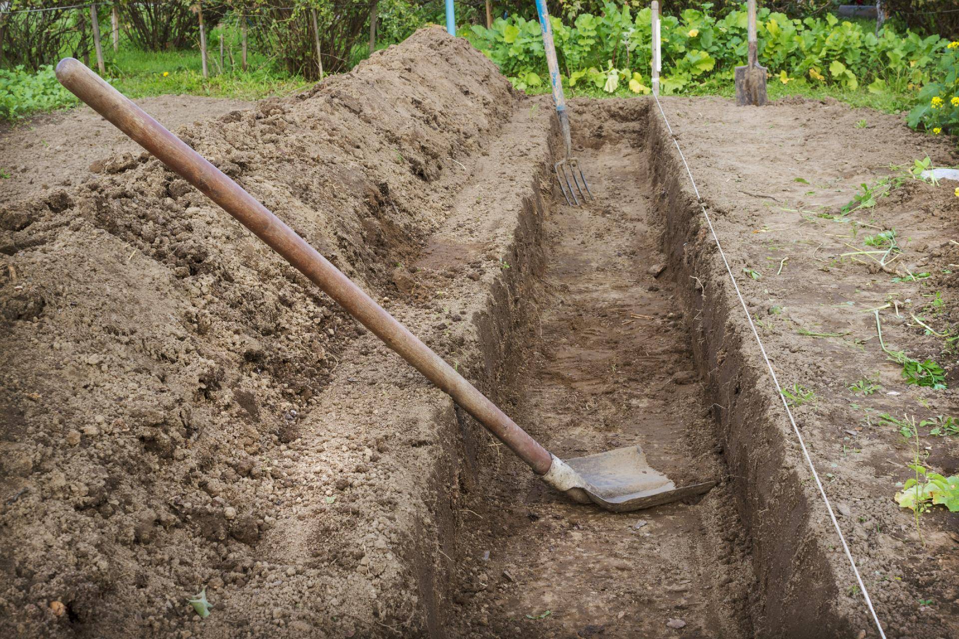 Какую лопату выбрать для огорода