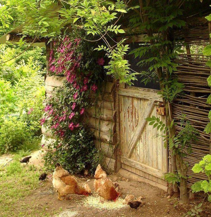Стиль кантри в ландшафтном дизайне – деревенский уют в саду на даче — sibear.ru