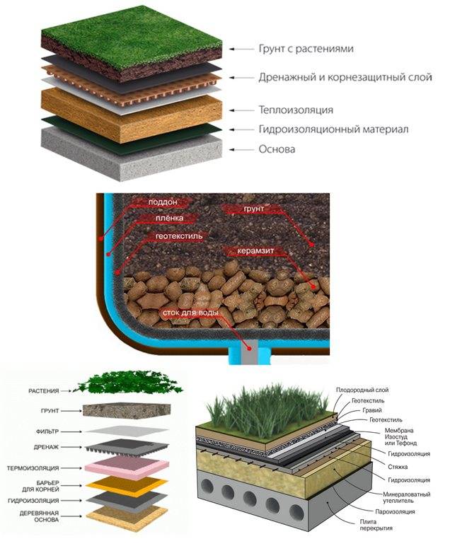 Современная зеленая крыша: варианты применения, технология озеленения и идеи обустройства