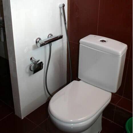 Гигиенический душ в туалет