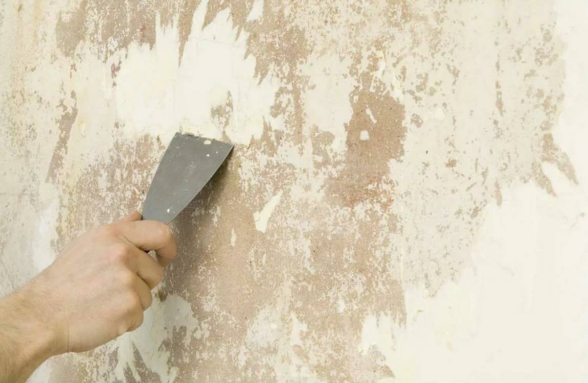 Как снять шпаклевку со стен быстро: основные способы снятия старого покрытия