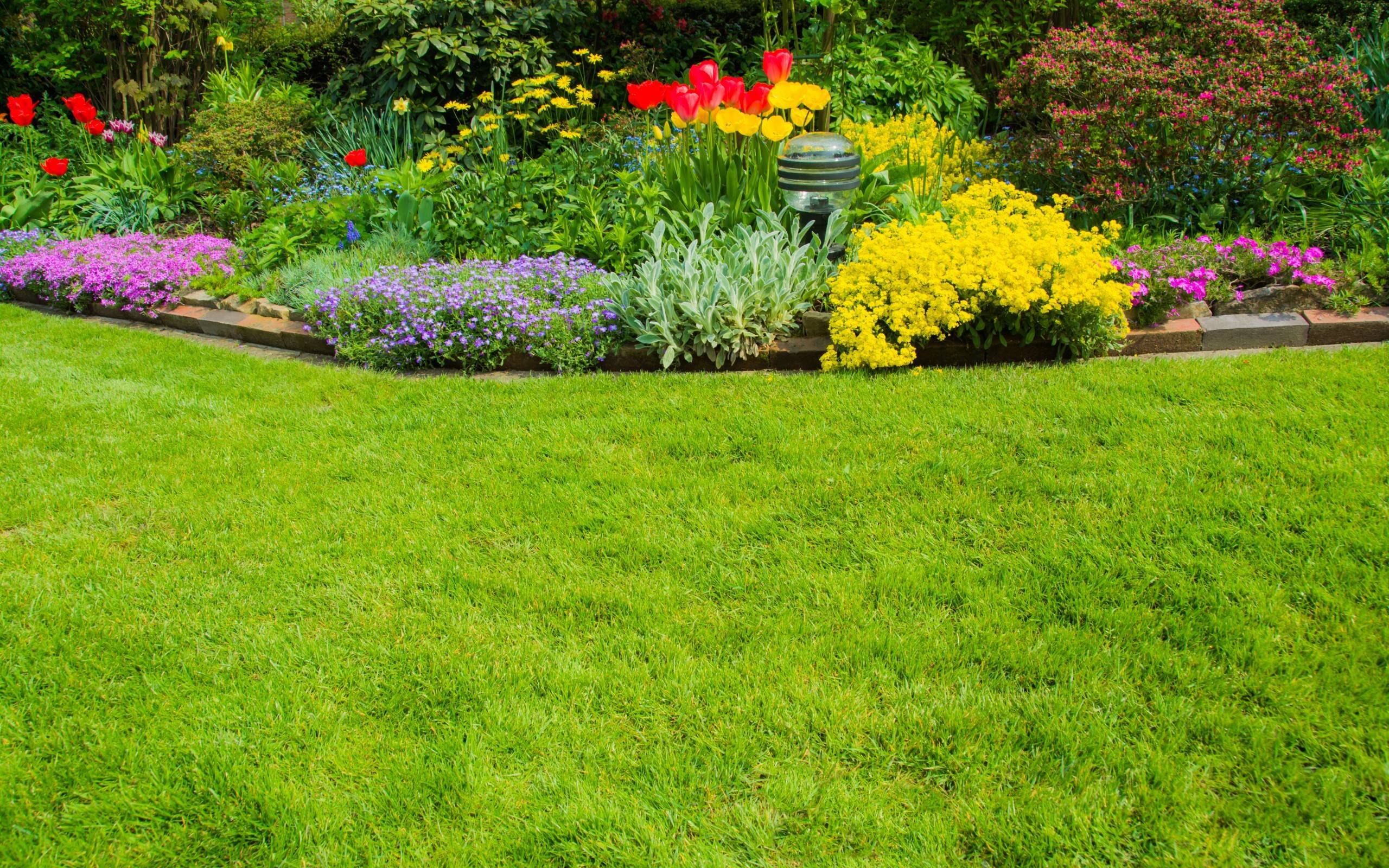 Оформление лужайки: 20 идей для оформления газона перед домом