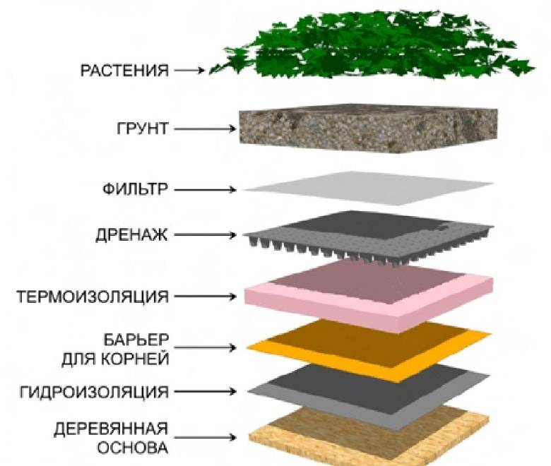 Современная зеленая крыша - технология и особенности проектирования и обустройства живой крыши загородного дома